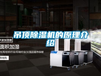 行業(yè)新聞吊頂除濕機的原理介紹