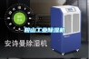 鞍山工業(yè)除濕機(jī)