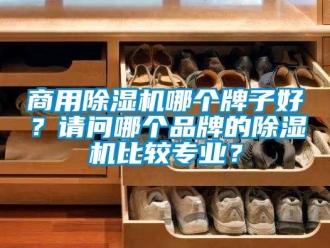 常見問題商用除濕機哪個牌子好？請問哪個品牌的除濕機比較專業(yè)？