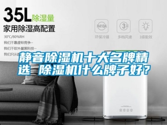 行業(yè)新聞靜音除濕機十大名牌精選 除濕機什么牌子好？