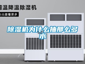 行業(yè)新聞除濕機(jī)為什么抽那么多水