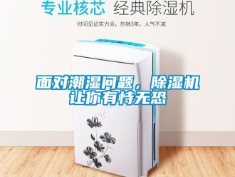 常見(jiàn)問(wèn)題面對(duì)潮濕問(wèn)題，除濕機(jī)讓你有恃無(wú)恐