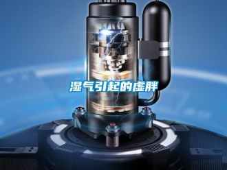 知識(shí)百科濕氣引起的虛胖