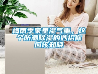 常見問題梅雨季家里濕氣重，這個(gè)防潮除濕的妙招你應(yīng)該知曉