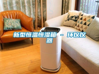 知識百科新型恒溫恒濕箱 - 環(huán)儀儀器