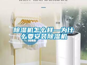 行業(yè)新聞除濕機怎么樣—為什么要安裝除濕機