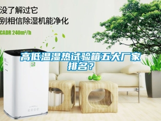 常見問題高低溫濕熱試驗(yàn)箱五大廠家排名？