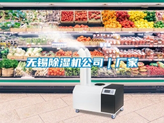 企業(yè)新聞無錫除濕機公司｜廠家