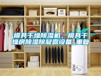 行業(yè)新聞模具干燥除濕機(jī)，模具干燥房除濕除凝露設(shè)備_重復(fù)