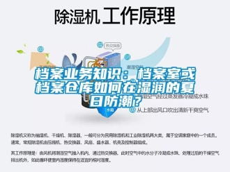 企業(yè)新聞檔案業(yè)務(wù)知識(shí)：檔案室或檔案?jìng)}庫(kù)如何在濕潤(rùn)的夏日防潮？