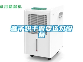 行業(yè)新聞蓮子烘干需要選對(duì)設(shè)備