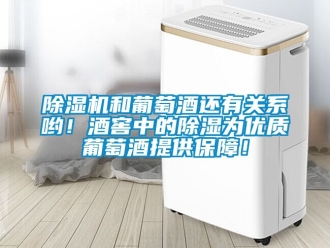 行業(yè)新聞除濕機(jī)和葡萄酒還有關(guān)系喲！酒窖中的除濕為優(yōu)質(zhì)葡萄酒提供保障！