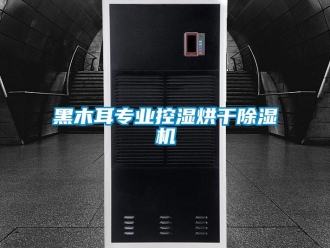 行業(yè)新聞黑木耳專業(yè)控濕烘干除濕機