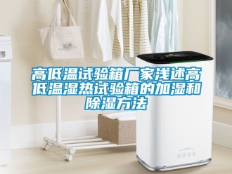常見(jiàn)問(wèn)題高低溫試驗(yàn)箱廠家淺述高低溫濕熱試驗(yàn)箱的加濕和除濕方法