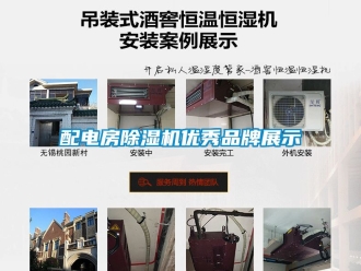 企業(yè)新聞配電房除濕機(jī)優(yōu)秀品牌展示