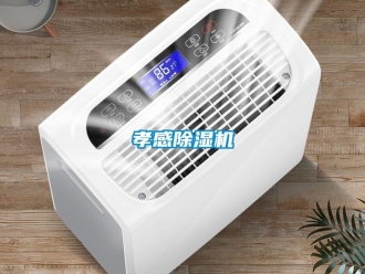 行業(yè)新聞孝感除濕機(jī)