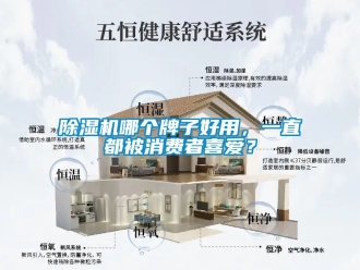 行業(yè)新聞除濕機(jī)哪個(gè)牌子好用，一直都被消費(fèi)者喜愛？