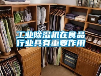 企業(yè)新聞工業(yè)除濕機(jī)在食品行業(yè)具有重要作用
