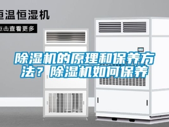 企業(yè)新聞除濕機的原理和保養(yǎng)方法？除濕機如何保養(yǎng)