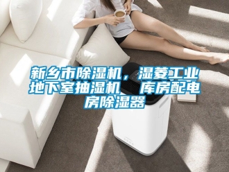 常見問題新鄉(xiāng)市除濕機，濕菱工業(yè)地下室抽濕機  庫房配電房除濕器