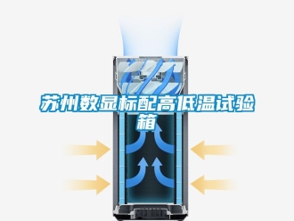 常見問題蘇州數(shù)顯標(biāo)配高低溫試驗箱