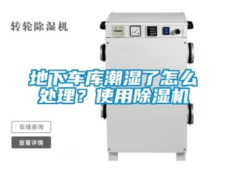 行業(yè)新聞地下車庫潮濕了怎么處理？使用除濕機(jī)