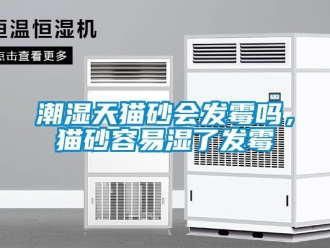 常見問題潮濕天貓砂會發(fā)霉嗎，貓砂容易濕了發(fā)霉
