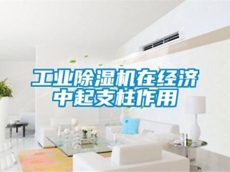 企業(yè)新聞工業(yè)除濕機(jī)在經(jīng)濟(jì)中起支柱作用
