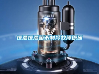 知識百科恒溫恒濕箱不制冷故障原因