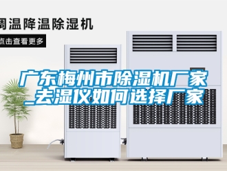 企業(yè)新聞廣東梅州市除濕機(jī)廠家_去濕儀如何選擇廠家