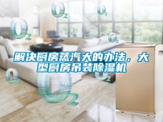 行業(yè)新聞解決廚房蒸汽大的辦法，大型廚房吊裝除濕機