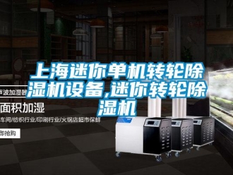 常見問題上海迷你單機(jī)轉(zhuǎn)輪除濕機(jī)設(shè)備,迷你轉(zhuǎn)輪除濕機(jī)