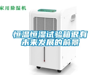 知識百科恒溫恒濕試驗箱很有未來發(fā)展的前景