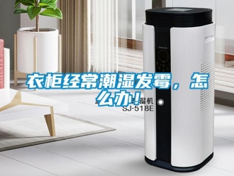 常見問題衣柜經(jīng)常潮濕發(fā)霉，怎么辦！