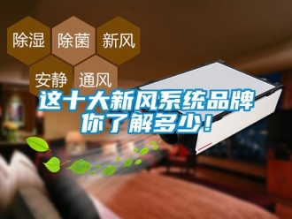 企業(yè)新聞這十大新風(fēng)系統(tǒng)品牌你了解多少！