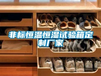 知識百科非標(biāo)恒溫恒濕試驗(yàn)箱定制廠家