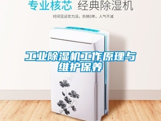 常見問題工業(yè)除濕機(jī)工作原理與維護(hù)保養(yǎng)