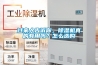 過(guò)來(lái)人告訴你，除濕機(jī)真的有用嗎？怎么選購(gòu)