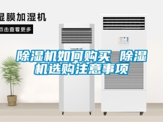 行業(yè)新聞除濕機(jī)如何購買 除濕機(jī)選購注意事項