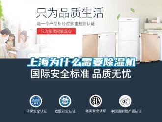 知識(shí)百科上海為什么需要除濕機(jī)