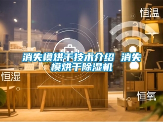 行業(yè)新聞消失模烘干技術介紹 消失模烘干除濕機