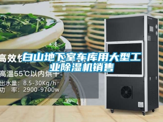 常見(jiàn)問(wèn)題白山地下室車庫(kù)用大型工業(yè)除濕機(jī)銷售