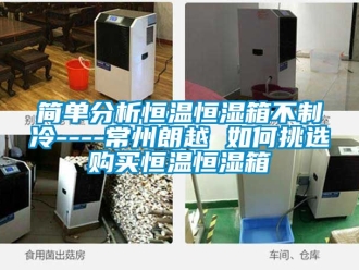 知識(shí)百科簡(jiǎn)單分析恒溫恒濕箱不制冷----常州朗越 如何挑選購(gòu)買恒溫恒濕箱