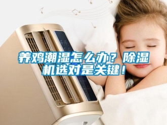 常見問題養(yǎng)雞潮濕怎么辦？除濕機選對是關(guān)鍵！