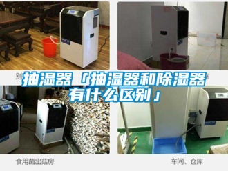 企業(yè)新聞抽濕器「抽濕器和除濕器有什么區(qū)別」