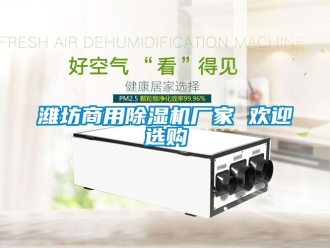 企業(yè)新聞濰坊商用除濕機(jī)廠家 歡迎選購(gòu)