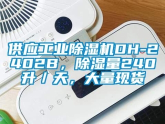 常見問題供應(yīng)工業(yè)除濕機(jī)DH-2402B，除濕量240升／天，大量現(xiàn)貨