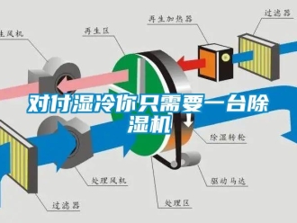 企業(yè)新聞對(duì)付濕冷你只需要一臺(tái)除濕機(jī)