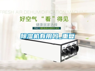 行業(yè)新聞除濕機(jī)有用嗎_重復(fù)