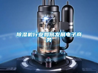 常見問題除濕機行業(yè)如何發(fā)展電子商務(wù)
